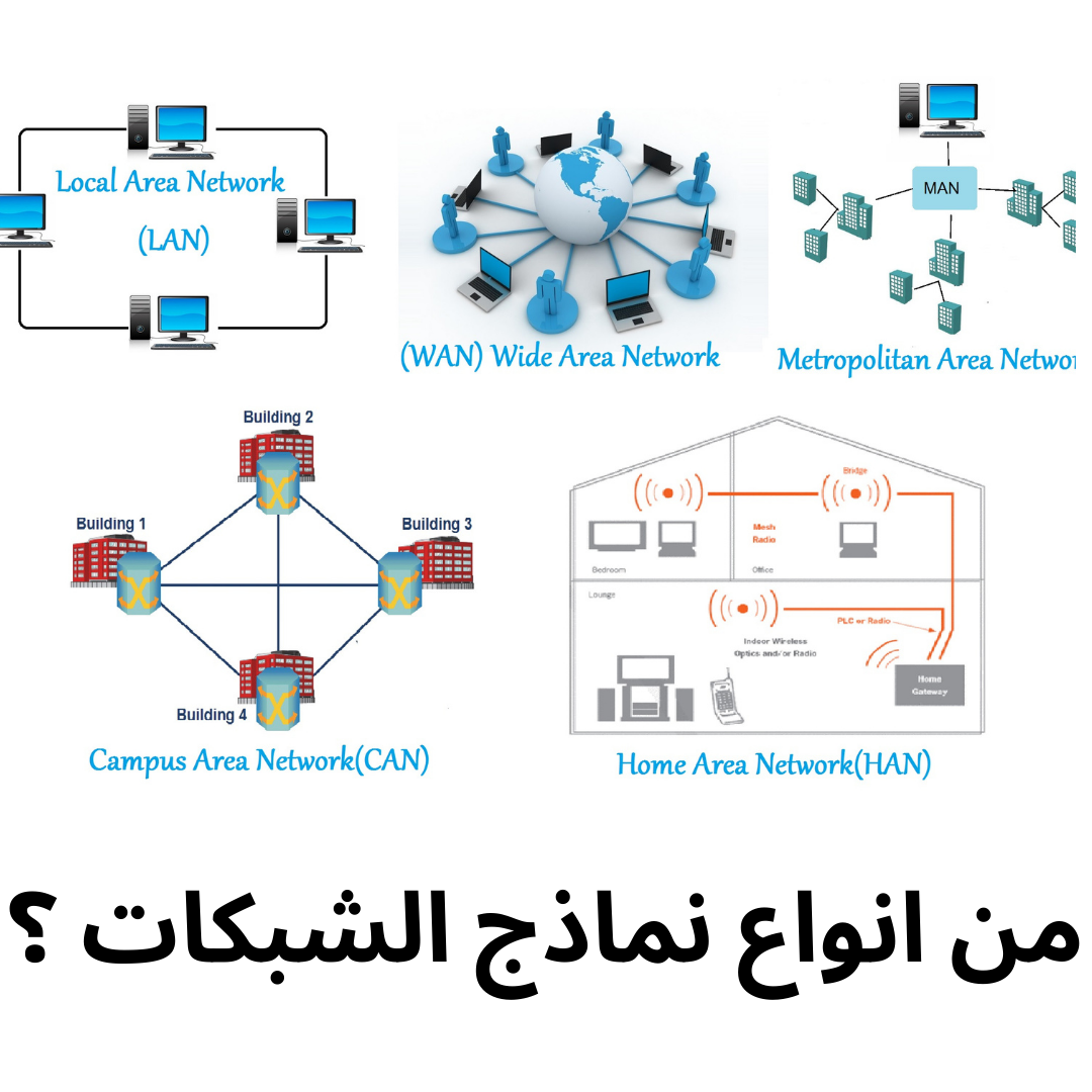 من انواع نماذج الشبكات ؟